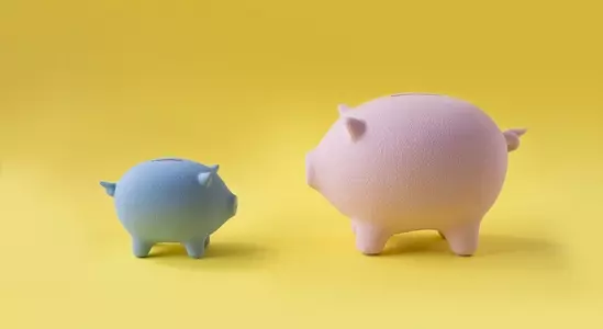 Is a 20% Down Payment Really Necessary To Purchase a Home?,Tein Hlwa with The Digital Realtor Team