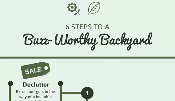 6 Steps to a Buzz-Worthy Backyard,