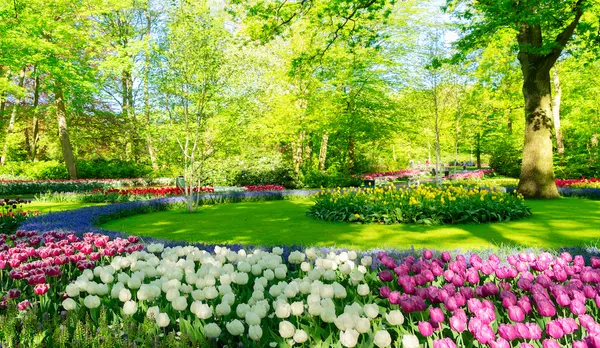 5 Types of Gardens to Beautify Your Home,