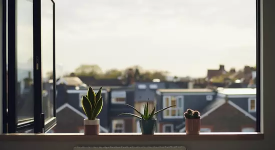 Why a Move Could Bring You More Happiness This Year,KCM Crew