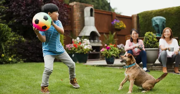 Adding a Dog to the Family? Here Are Some Expenses to Consider,