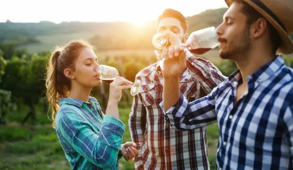 Best Temecula Wine Tours To Try This Summer,Maria Haase