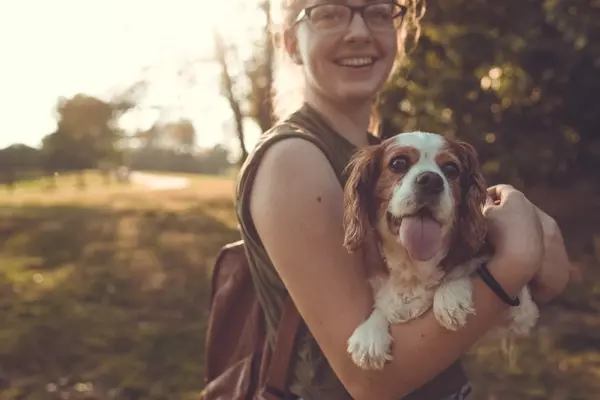 Get Fit with Your Dog,Mark Webster