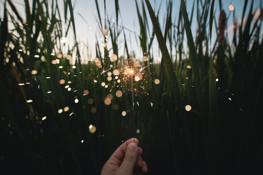 person holding firecracker near grasses
