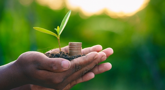 Saving for a Down Payment? Here’s What You Should Know.,stm