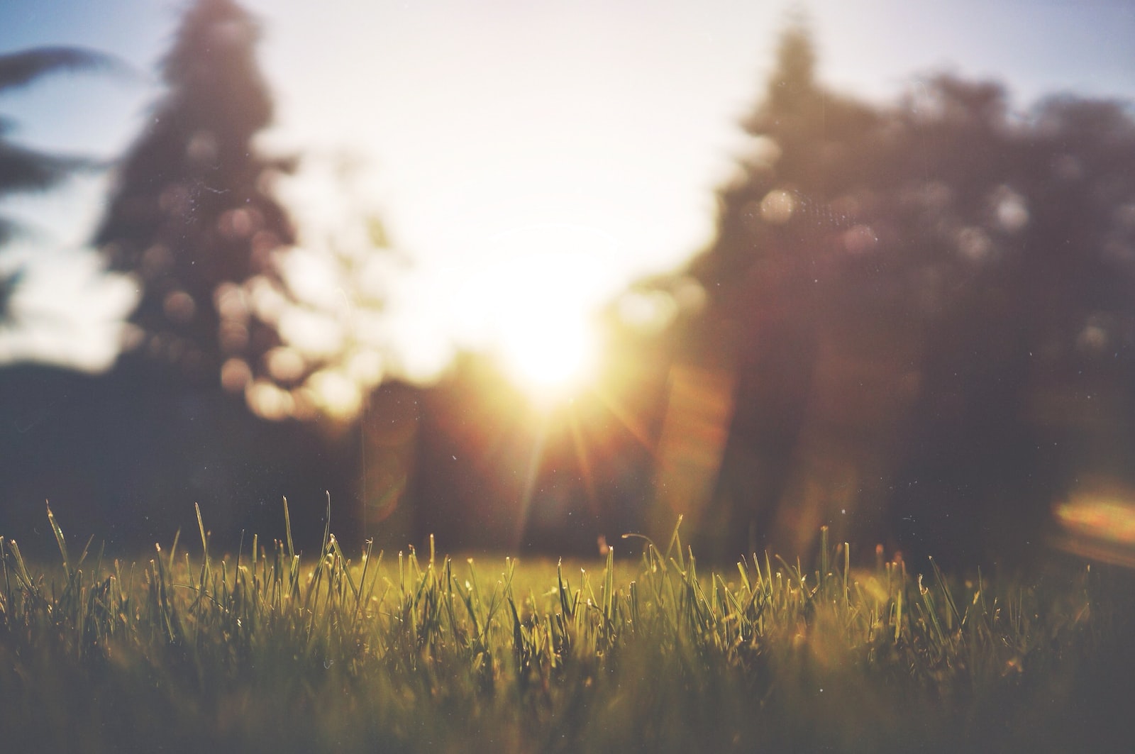 Get Started With Meditation: A Step-By-Step Guide