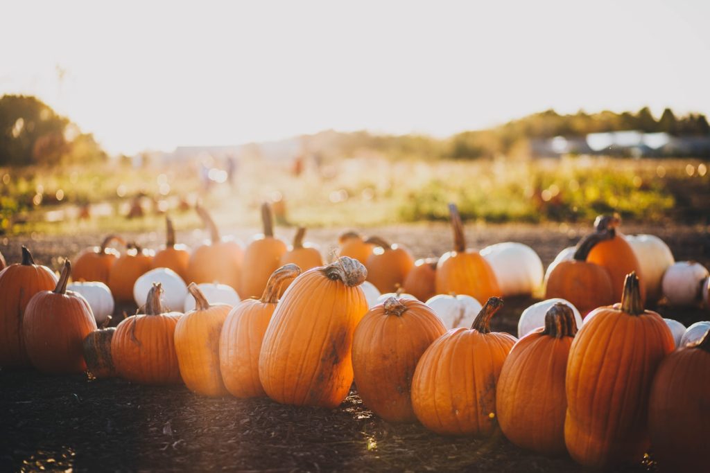Things to do this fall in Boulder Colorado