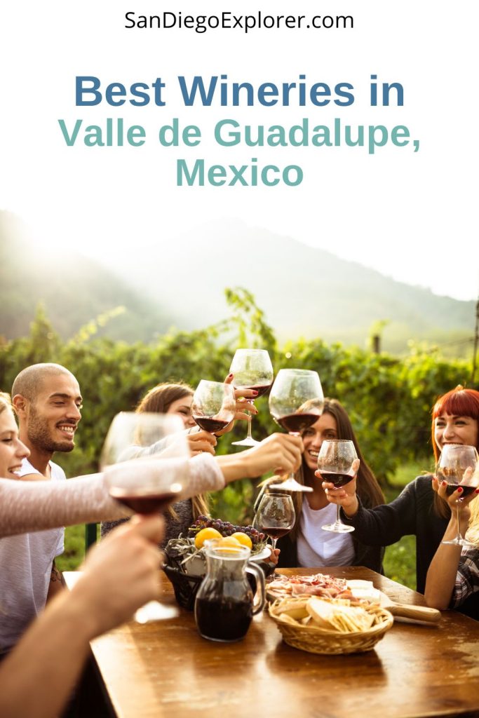 Group of people cheering with wine glasses next to a vineyard - Text overlay: Valle de Guadalupe wineries are the perfect wine destination from Southern California. These are the best ones to try in Guadalupe Valley!