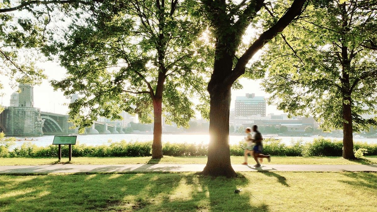 Runners in a park in Boston, MA