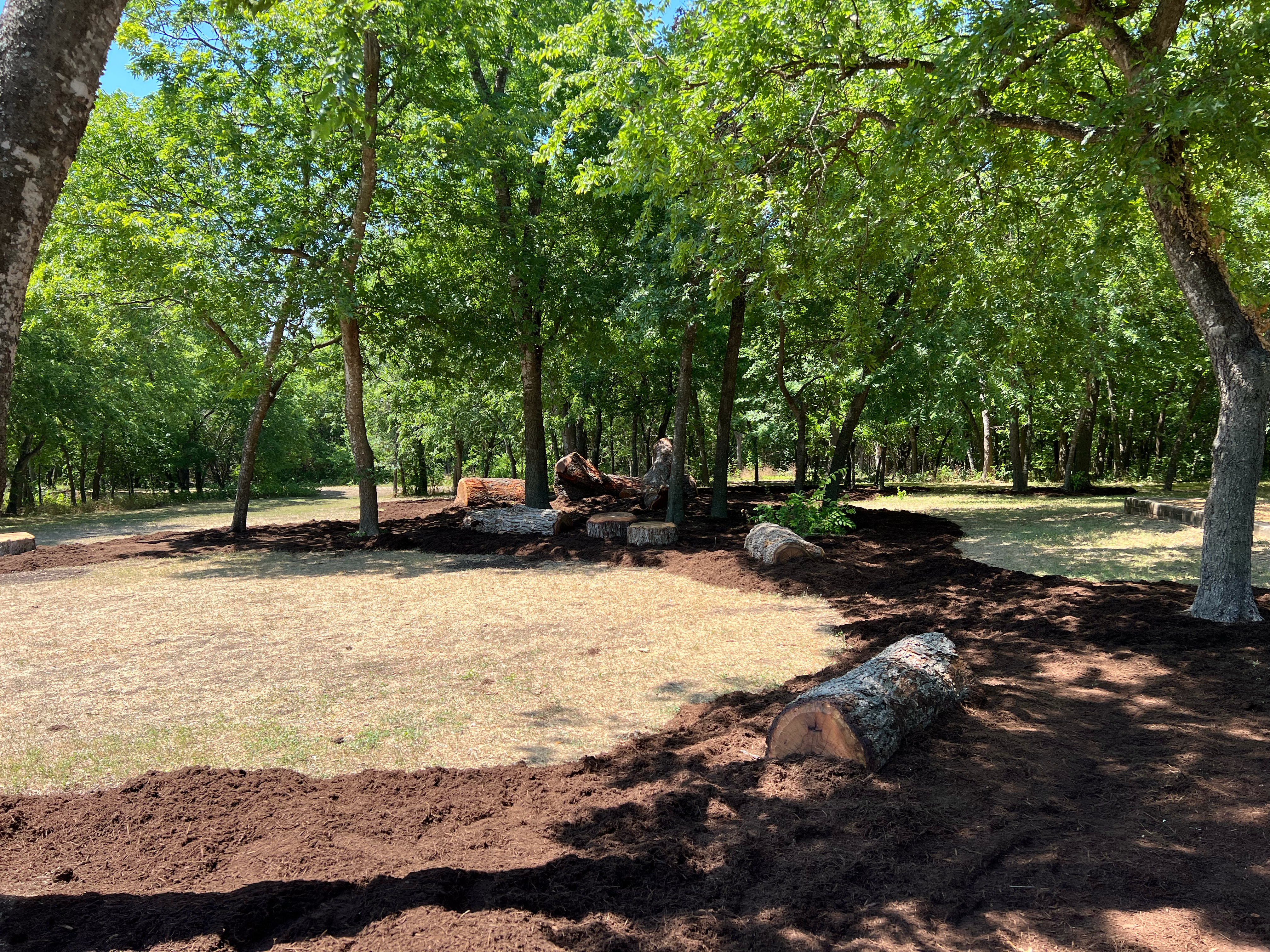 Mulching and logs intertwined with the trees at Kendra Page