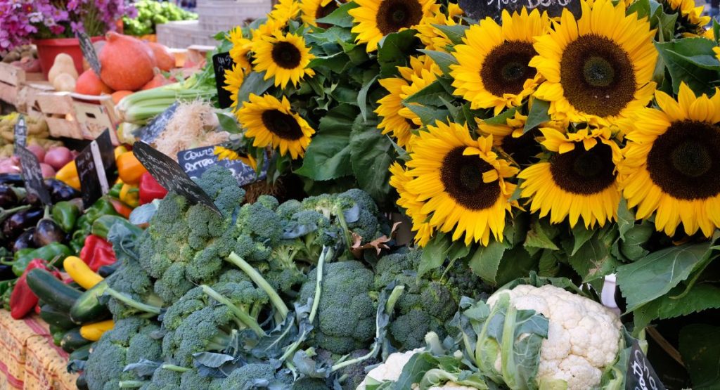 Sunflowers and produce at farmers market. Hillcrest farmers market.