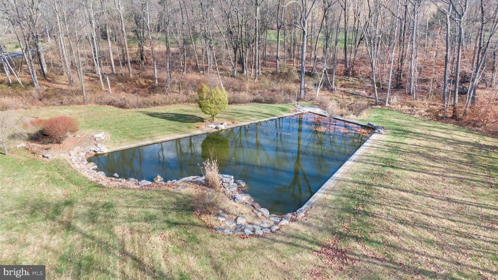 Pond