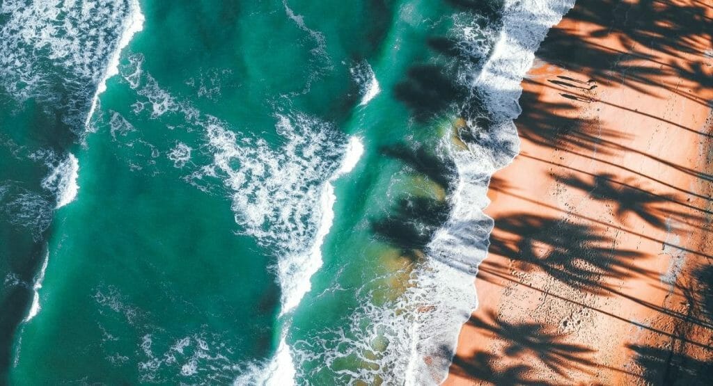 aerial view of beach with long shadows of palm trees