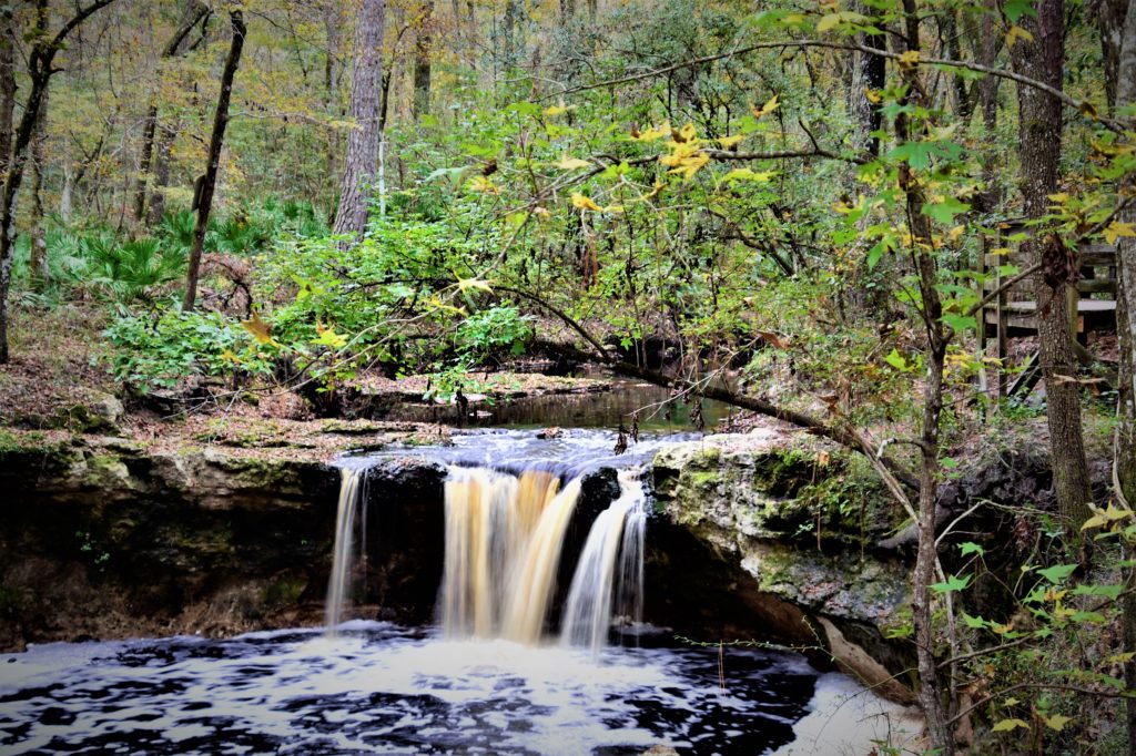 A 12 foot tall waterfall with water flowing over the limestone edge in a natural setting