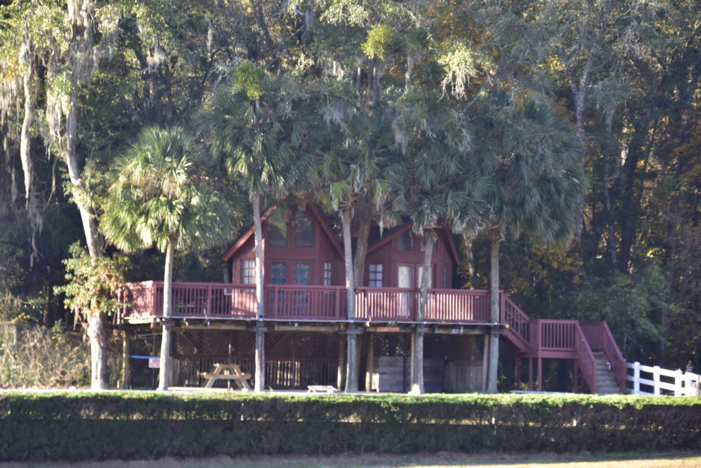 Large house touching the tops of trees, with a big wrap-around deck