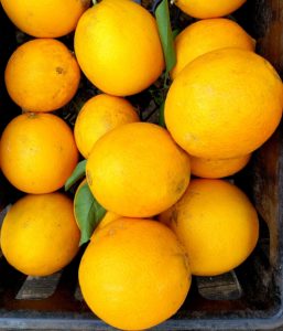 Bright orange Blood Oranges in crate