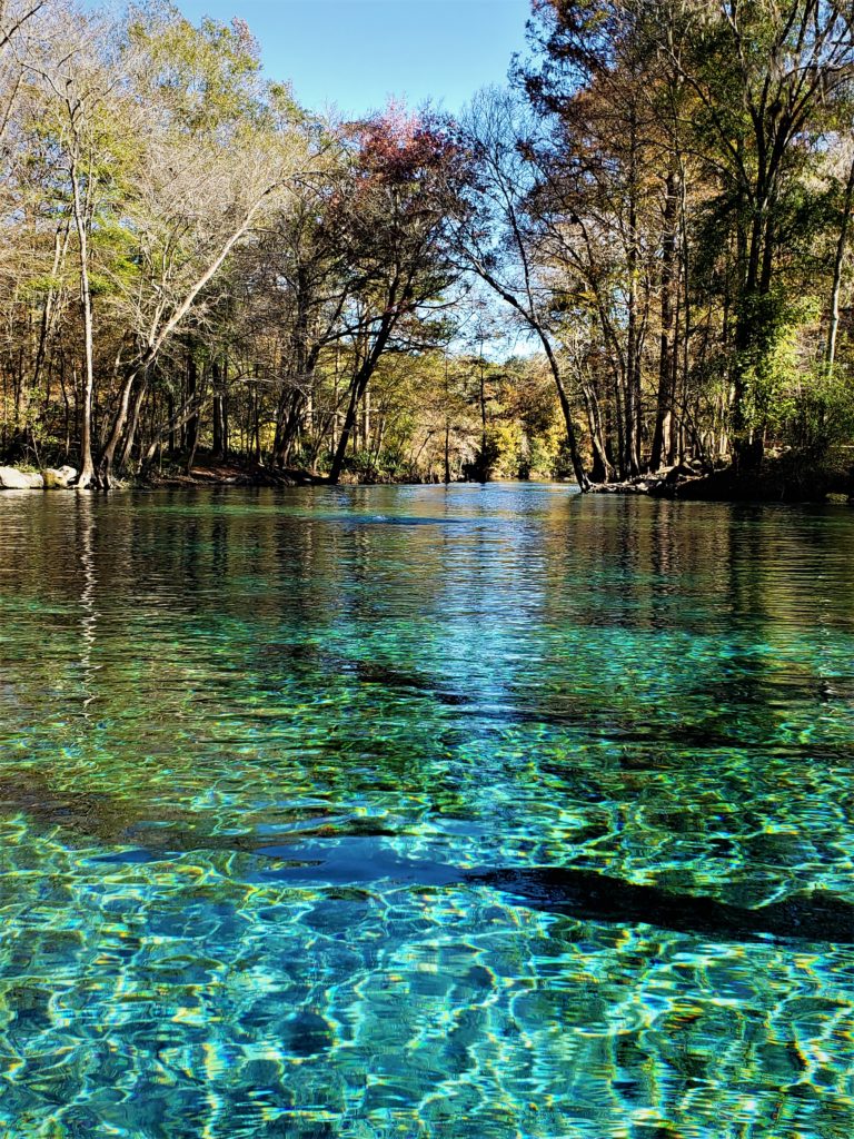 clear blue spring surrounded by natural beauty of autum