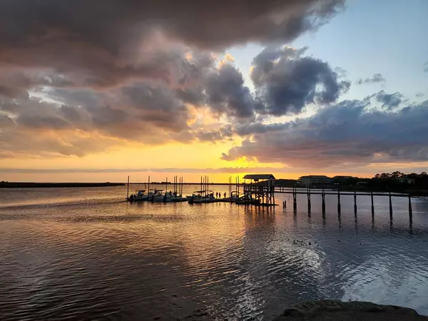 Steinhatchee, Florida&#8217;s Best Kept Secret,VNNF Intern