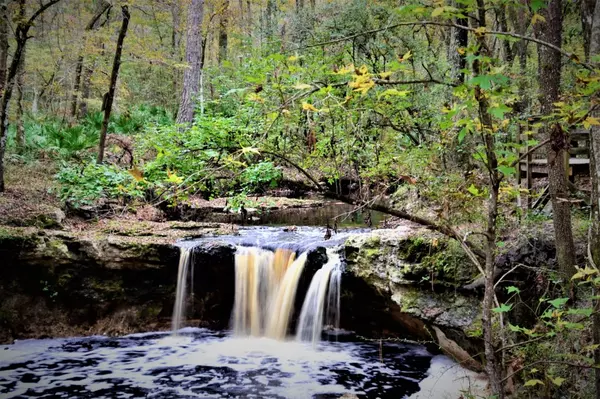 25 Best Natural Things to Do in Columbia County,Jo Clark