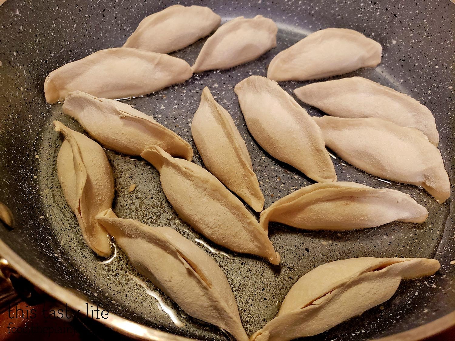 Pan Fried Dumplings