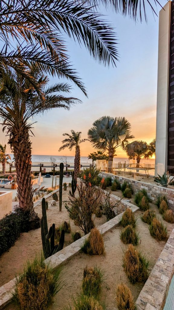 sunset at Hard Rock Hotel Los Cabos with palm trees and hotel property in front