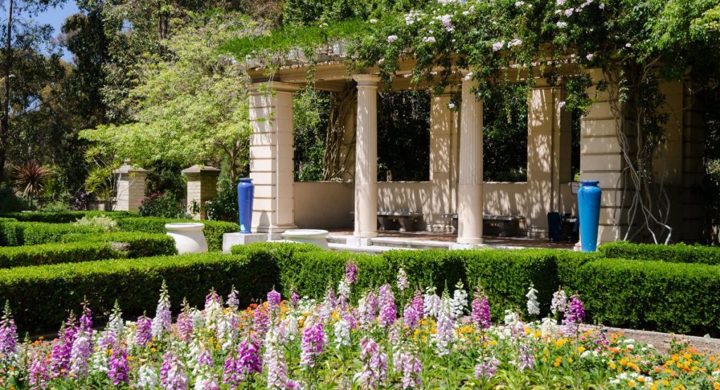 Ornamental garden with neat green hedges, colorful larkspur flowers and small building in background with open walls and tall columns. Alcazar Garden, Balboa Park.