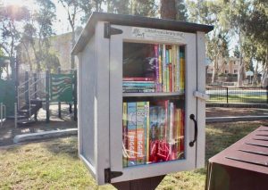 little free library copy