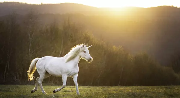 Today’s Real Estate Market: The ‘Unicorns’ Have Galloped Off,KCM Crew