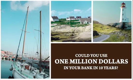 What Would You Do With One Million Dollars?,bird757
