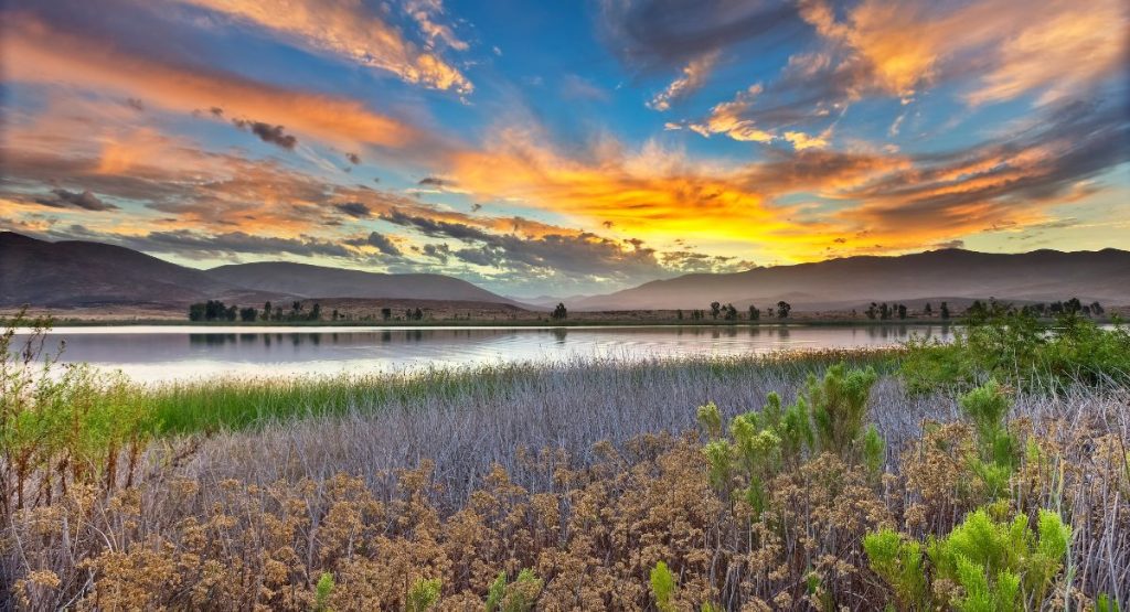 Colorful sunset over calm lake with mountain views, in foreground are low shrubs and tall grasses. Otay Lake, Lakes in San Diego.