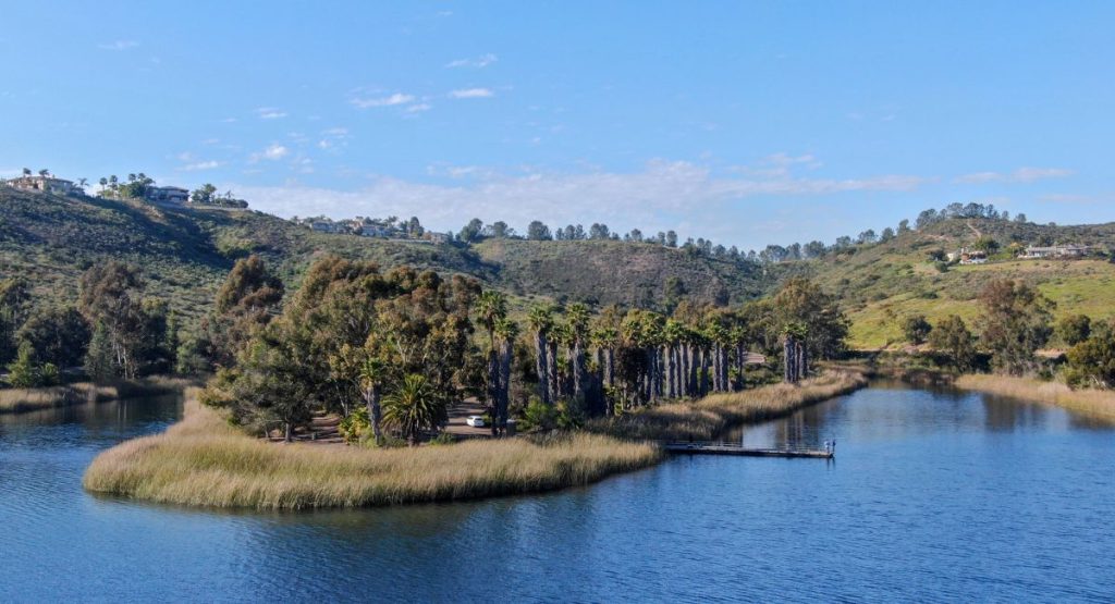 Blue lake with grassy peninsula covered in palm trees and greenery, in background are large homes atop hill on sunny day. Miramar Reservoir, Lakes near San Diego.