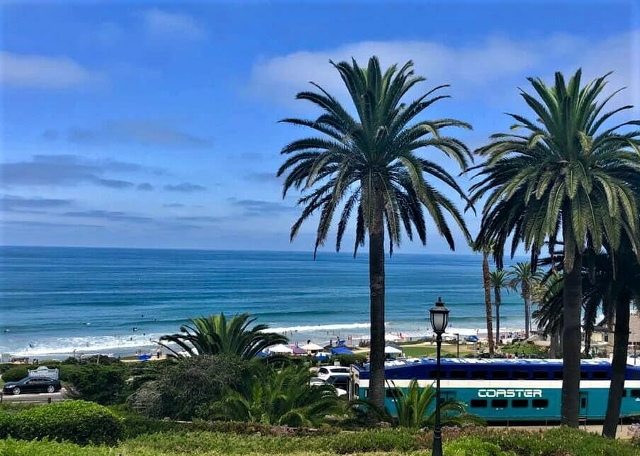 View of Del Mar Beach with Palm Trees and the Amtrak Coaster Train in the foreground