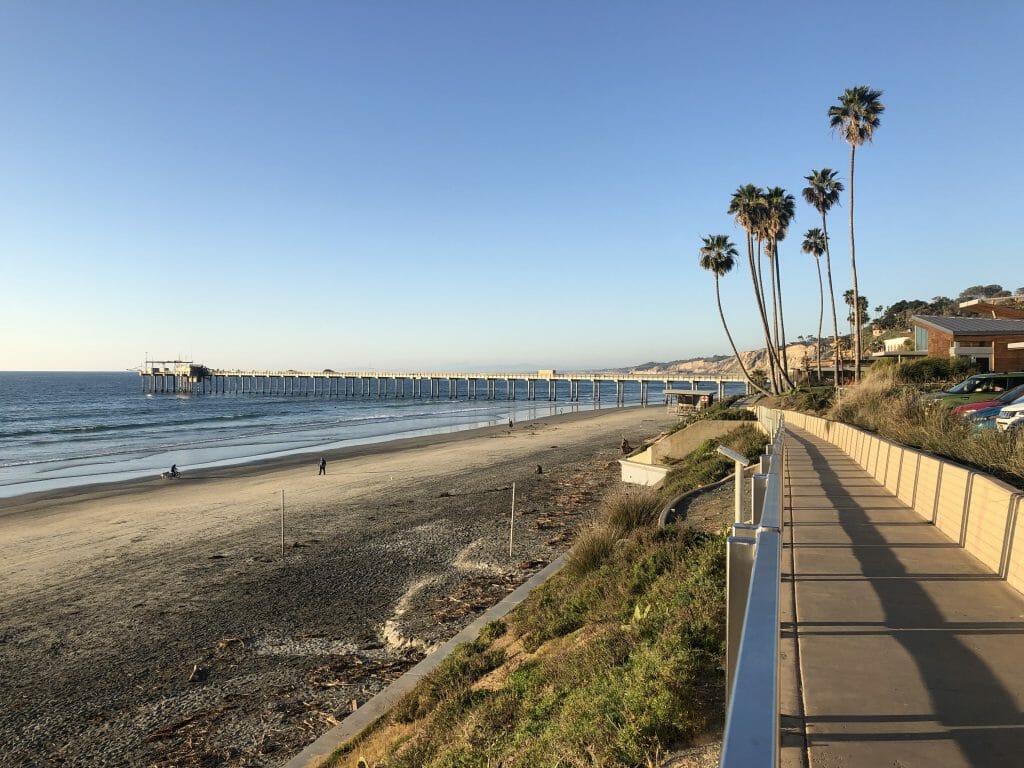 Beach walk on the right of the photo, then a small cliff and the beach and ocean on the left of the photo. In the background you see palm trees and the Scripps Pier in La Jolla Shores Dog Beach