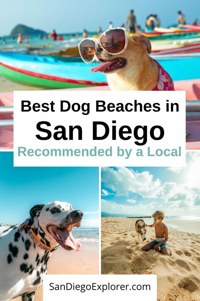 Taking your dog to the beach soon? In San Diego, you have quite a few choices. So here are my recommendations for the best San Diego Dog Beaches so you can pick the best one for you and your pup. Dog friendly things to do in San Diego - San Diego Dog Beach - San Diego Beaches - San Diego pet friendly - San Diego Things To do - San Diego with pets - Beaches San Diego - San Diego Itinerary