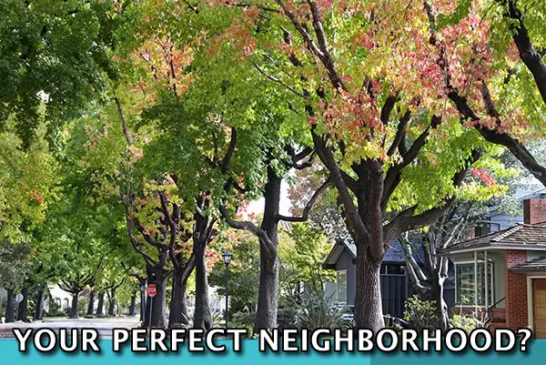 Discover the Top 3 Tips for Finding Your Perfect Neighborhood and Dream Home!,bird757