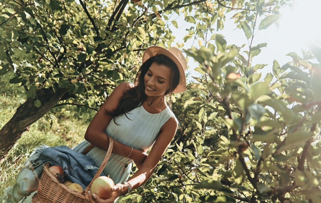 Woman with long dark hair and a tan hat standing in an apple orchard in San Diego holding a basket with apples - Julian Apple Picking