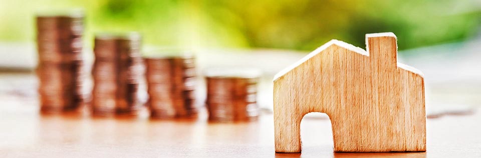 Wood block house, stacks of quarters, blur, focus, foliage in the background.