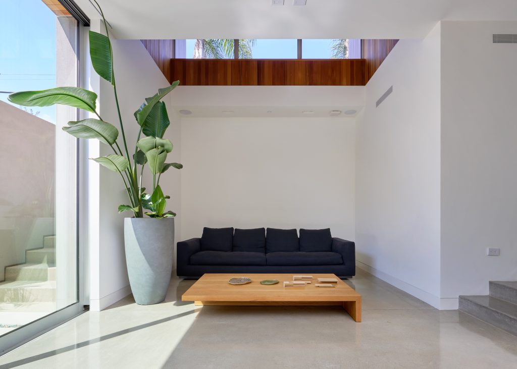 Modern luxury house with large plant and chic wooden table. 