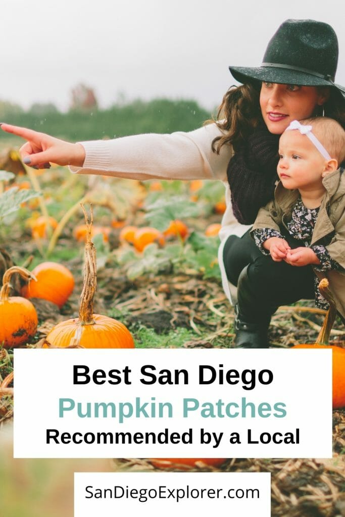 Ready for fall? Here are the best San Diego Pumpkin Patches that will put you in the fall spirit. Take a look at these fun pumpkin farms in San Diego county and all the fun activities they offer. From hayrides to pumpkin carving, corn mazes and apple cannons, a trip to a pumpkin patch in San Diego is fun for the whole family. San Diego with kids - San Diego pumpkin patch - San Diego fall activities - San Diego October - San Diego Things to do - San Diego itinerary - San Diego travel tips