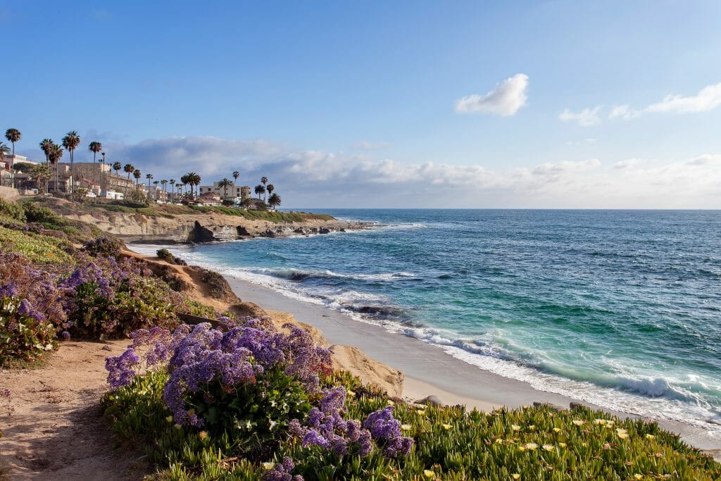 La Jolla Shore with ocean on a sunny day