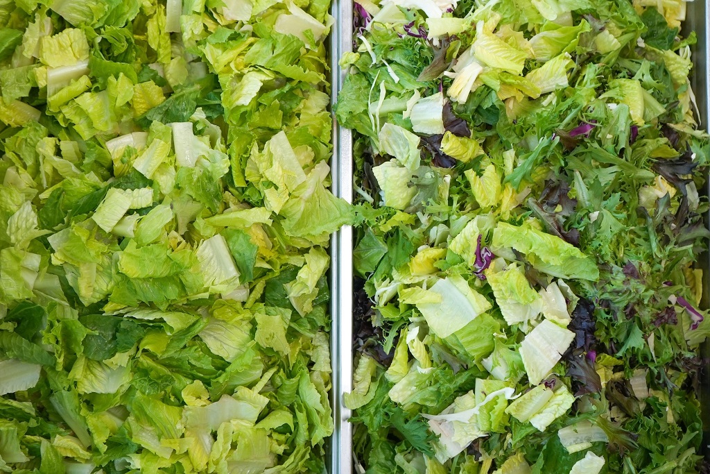 Salata's