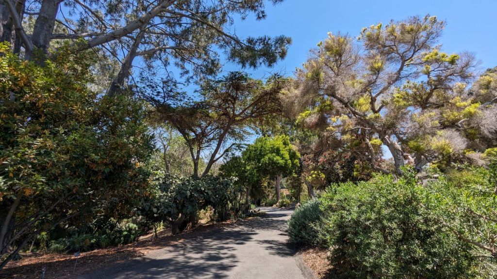 walkway through lush landscape at the San Diego Botanica Garden Encinitas - Best Things to do in Encinitas