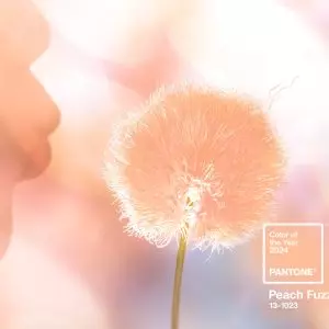 Introducing the Warm and Welcoming Peach Fuzz, Pantone’s 2024 Color of the Year,Alyson Pitarre