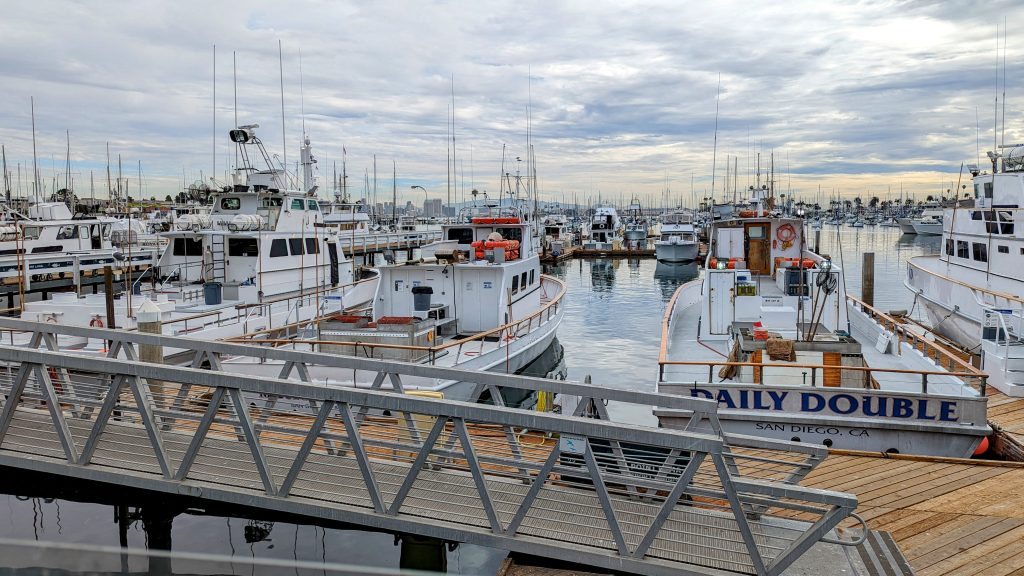 view from mitch's seafood overlooking the fishing boats in the harbor and downtown San Diego in the background