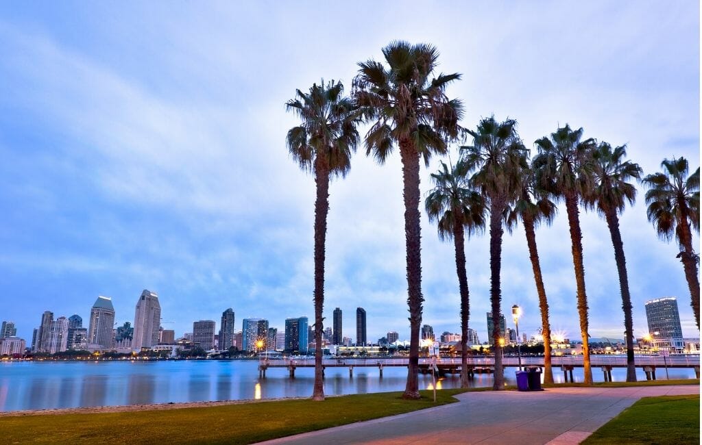 Foreground: Palm trees, beech, and San Diego Bay - Background - San Diego skyline with skyscrapers