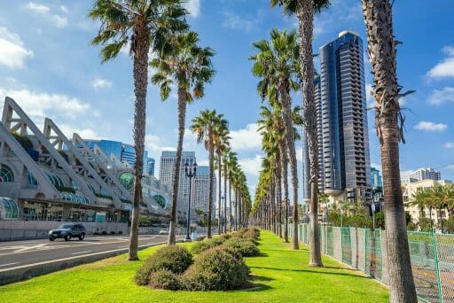 Palm trees lined up in the green grass with a variety of buildings dotting the background in downtown San Diego