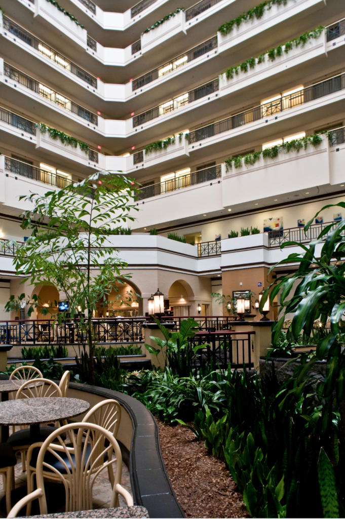 A lobby in the middle of towering walls with  foliage all over