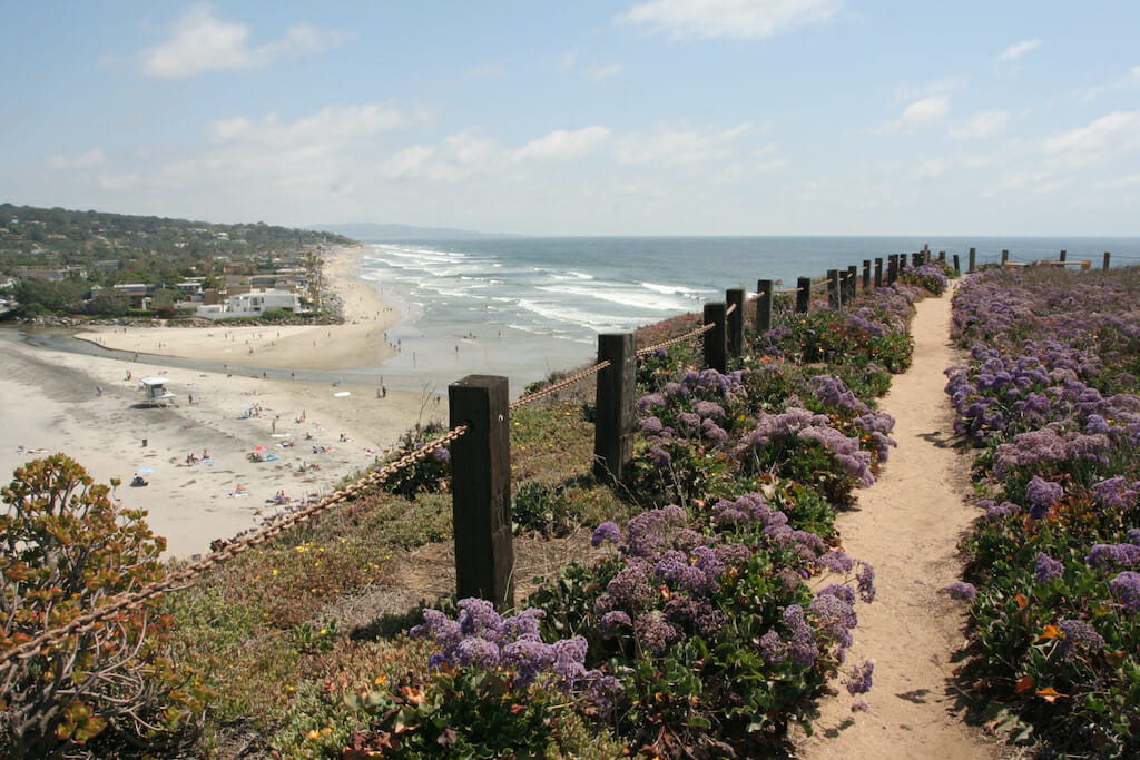 People leisurely laying and playing on the Del Mar beach while gorgeous plants bloom on a nearby hiking path