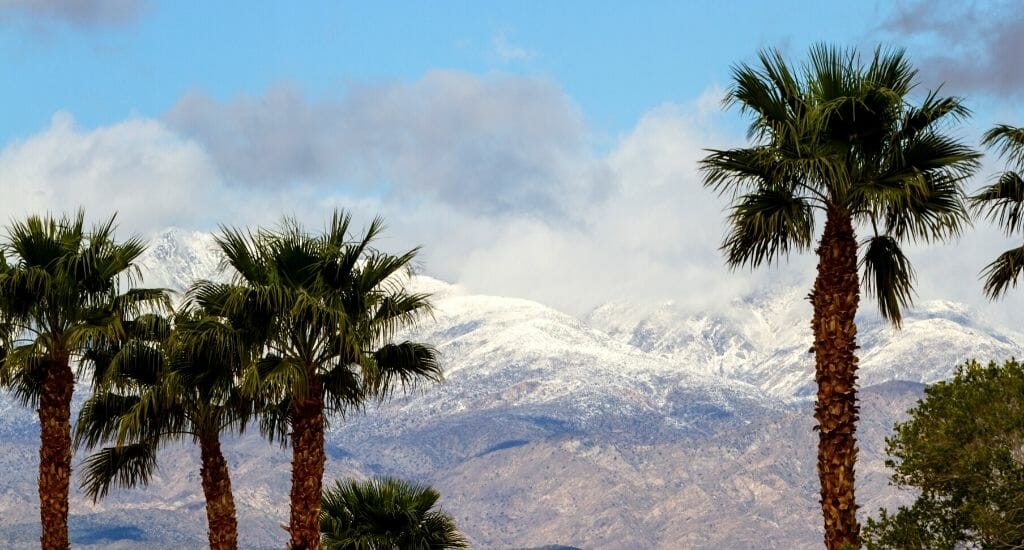 Palm trees in the foreground and snowcapped mountains in Southern California - Snow in San Diego