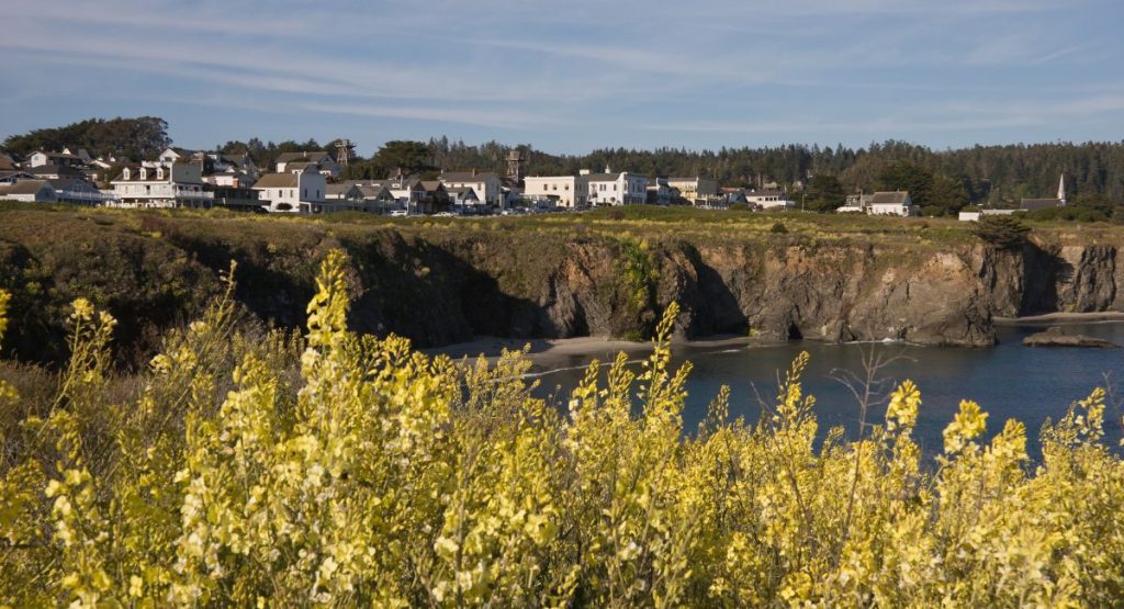 Houses sitting on top of beach bluff with greenery in foreground on sunny day. Mendocino, California.